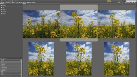 Download and organise your images