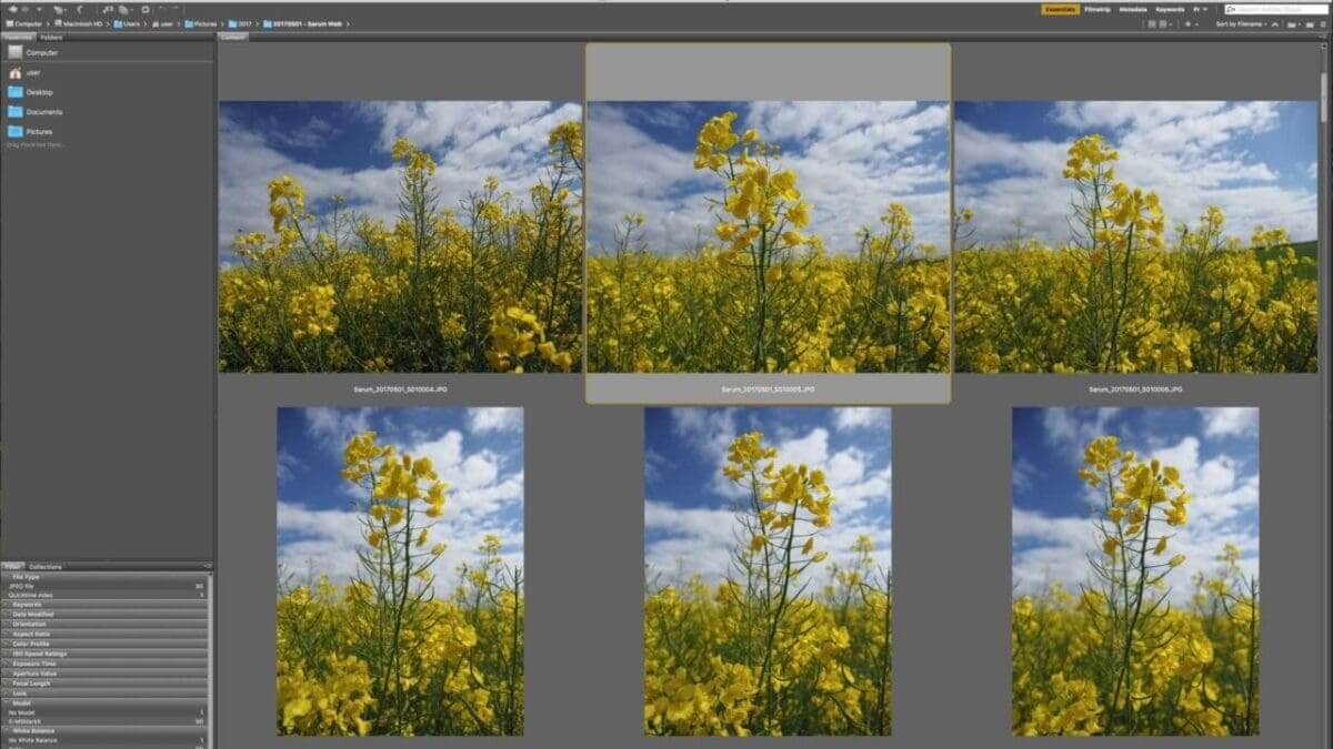 Download and organise your images