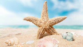 Jessops launches Share Your Summer contest