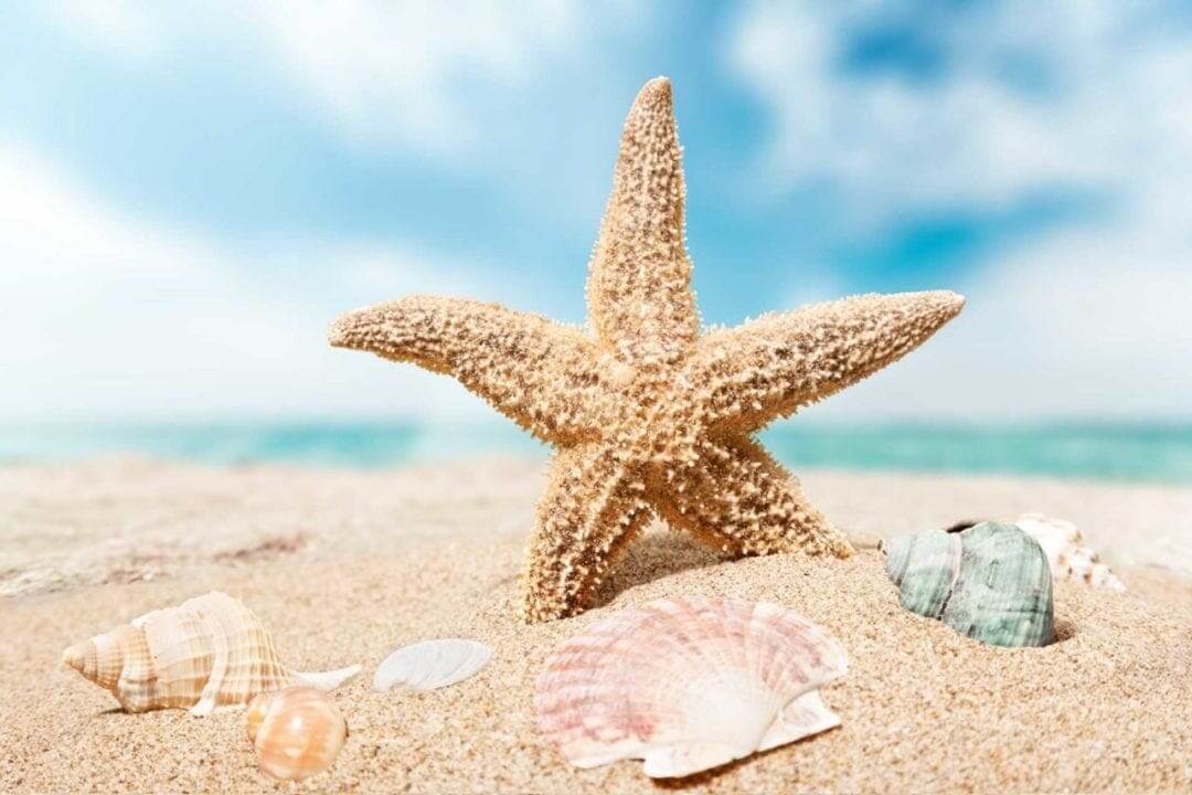 Jessops launches Share Your Summer contest