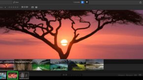 Adobe accidentally releases Nimbus app, users to have 1TB of space