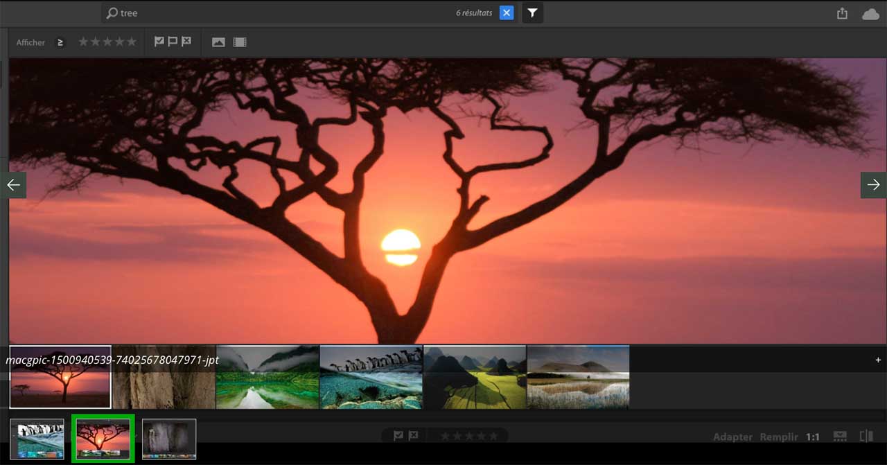 Adobe accidentally releases Nimbus app, users to have 1TB of space