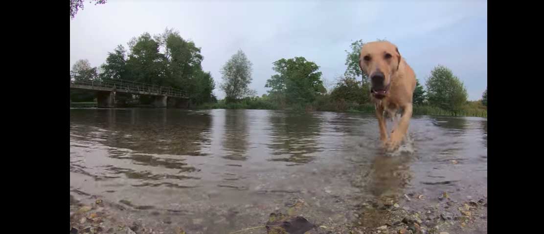 GoPro Hero6 Black sample video shot in 4K at 60fps