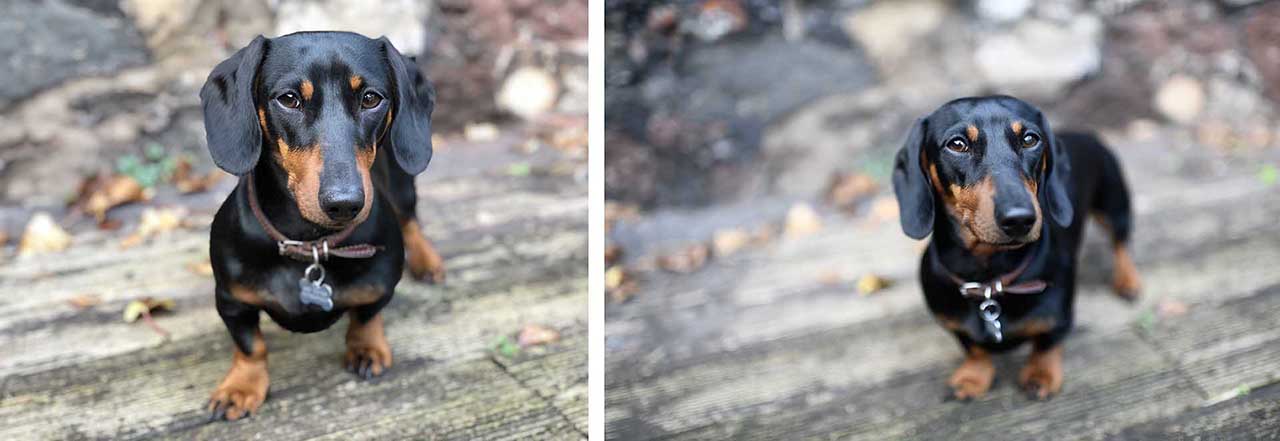 iPhone X vs Nikon D850