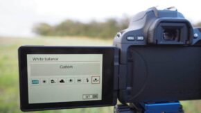 Canon EOS 200D / Rebel SL2: How to set a custom white balance