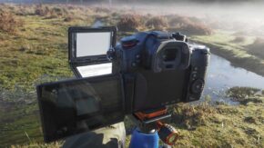 Panasonic GH5S White Balance