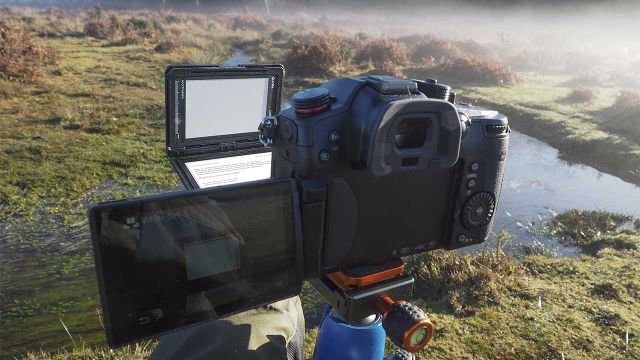 Panasonic GH5S White Balance