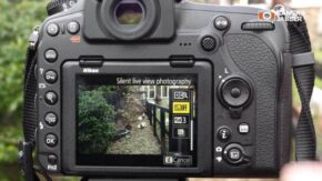 Nikon D850 quiet mode: how to set up Silent Live View Photography