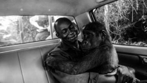Wildlife Photographer of the Year People's Choice winner revealed