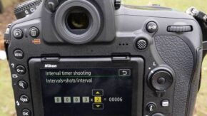 Nikon D850 timelapse tutorial: shots per interval