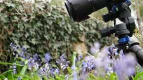 Benro GD3WH geared tripod head review