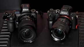Nikon Z6 vs Sony A7 III