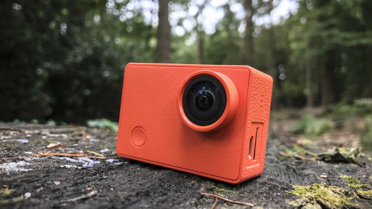 Seabird 4K review