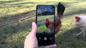 Huawei Mate 20 Lite camera review