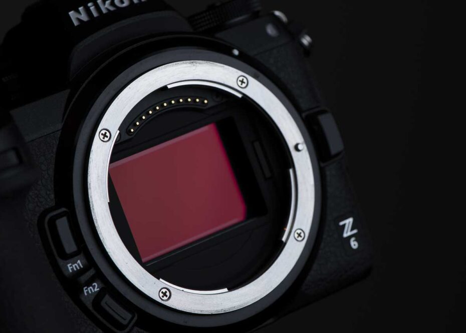 Best cameras for wildlife photography