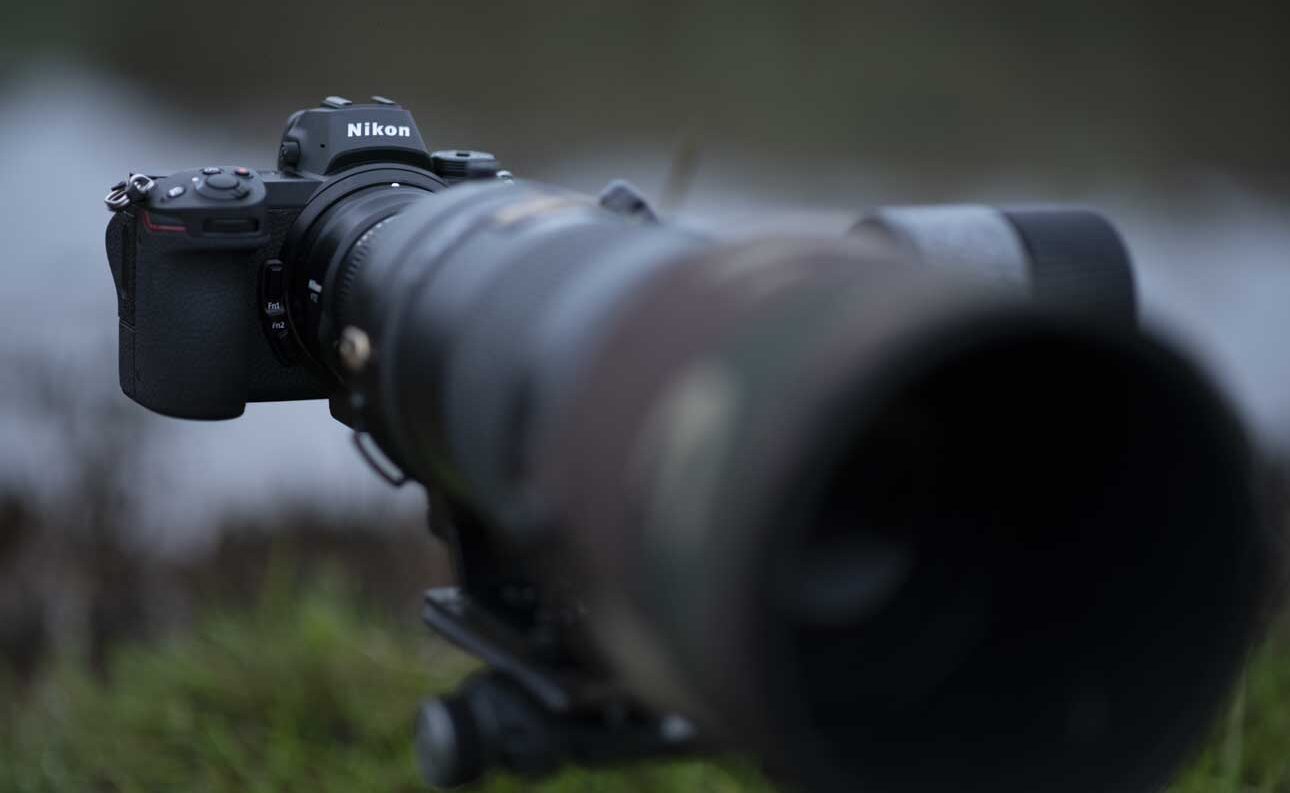 DSLR or mirrorless for Wildlife Photography?