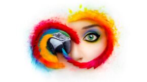 Adobe to stop selling downloads of old Photoshop, Lightroom versions
