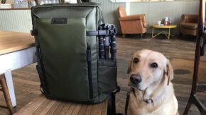 Vanguard Veo Select 49 review