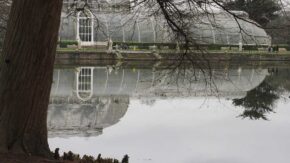 How to photograph a reflection in water
