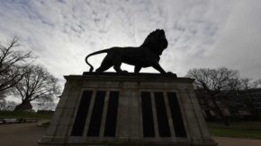 How to photograph a silhouette
