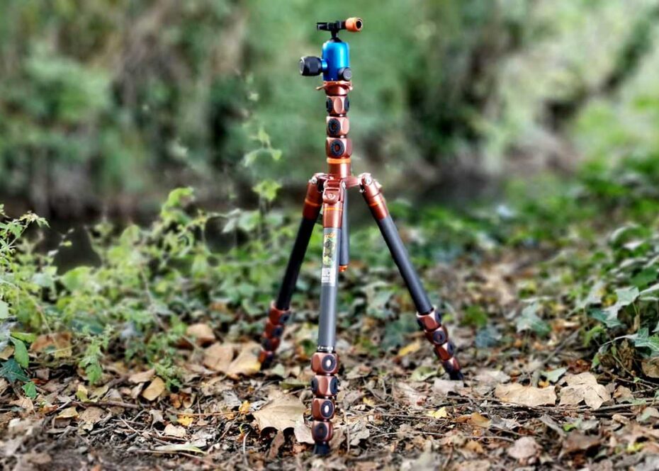3 Legged Thing Bucky Review