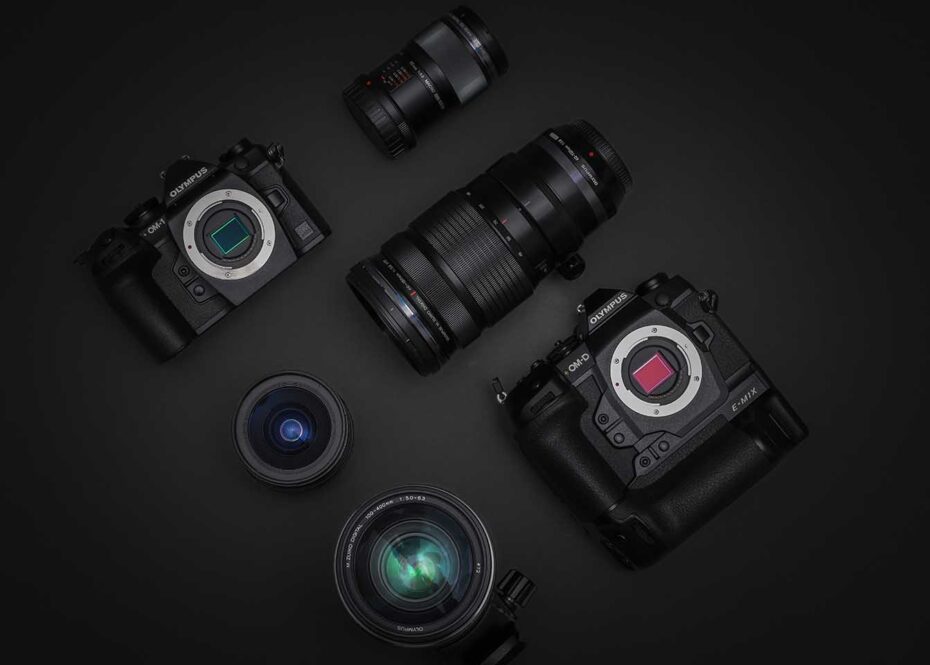 Inside A Professional Photographer's Kit Bag: Tesni Ward, Wildlife Photography